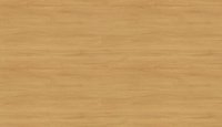 CLASSIC-LINE Einzelstufen 100 x 30,5 cm - Dekor: Eiche (Stil-VK)